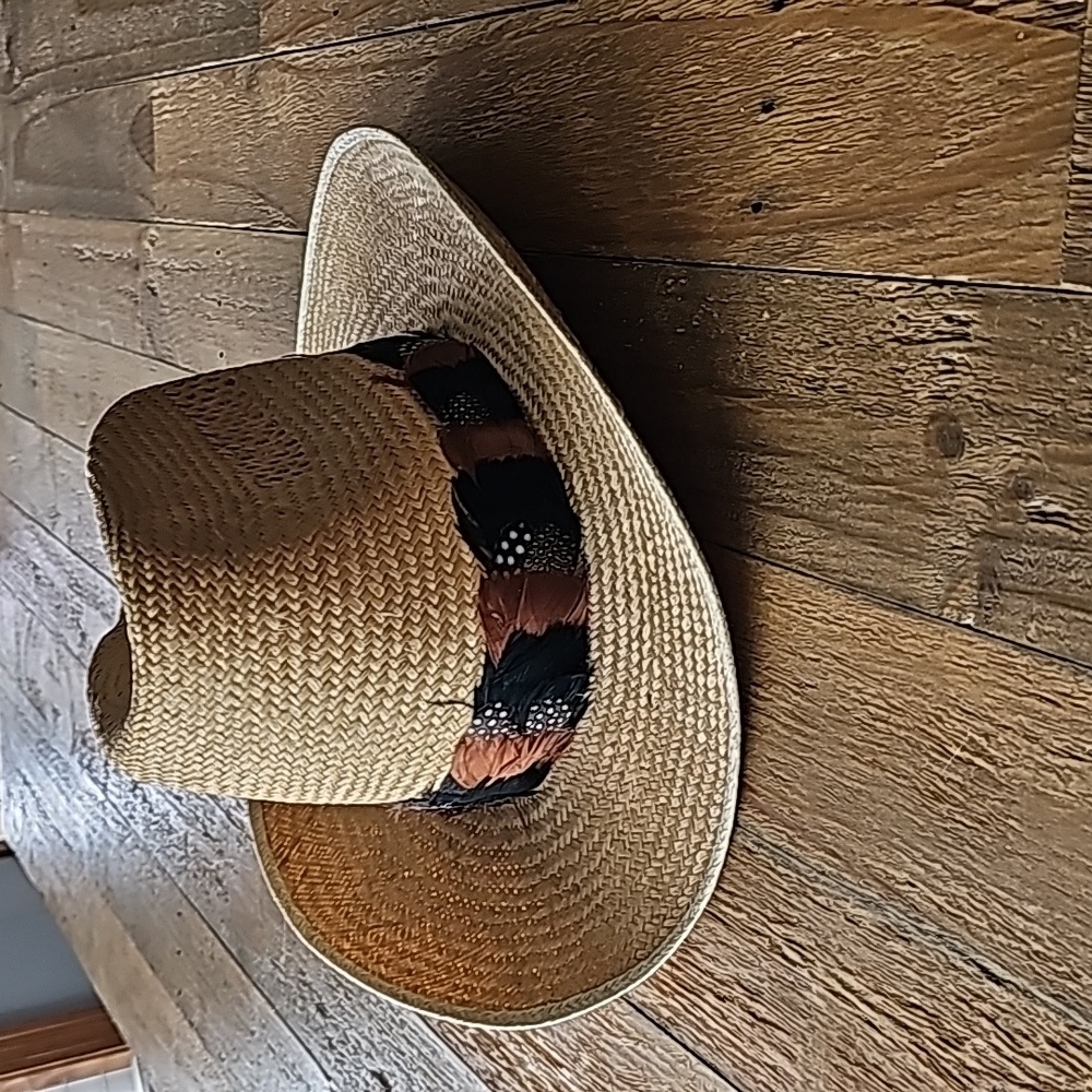 Vintage Hush Puppies Cowboy Hat, Tan Cattlemen's Western Hat